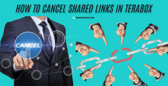 How to Cancel Shared Links in TeraBox: Guide