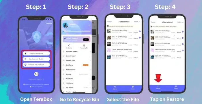 Terabox file recovery steps